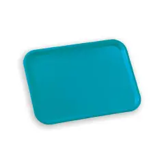Light Blue Bank Saving Tray