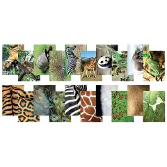 Images for Telling Animals of the World