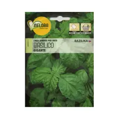 Seeds for Vegetable Garden: Basil