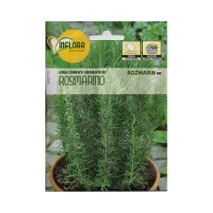 Seeds for Vegetable Garden: Rosemary