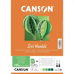 Cartoncino Vivaldi Canson Iris A4 185 g/m² - 25 Fogli Assortimento Terra