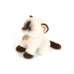 Morbidelli Siamese plush Toby 20cm.