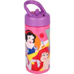 Princesses Water Bottle With Straw Playground