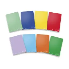 Quaderno Maxi Monocromo - 38 Fogli - 100g/m² - Rigatura B (Terza Classe Primaria)