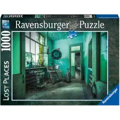 Puzzle 1000 Pieces The Psychiatric Hospital