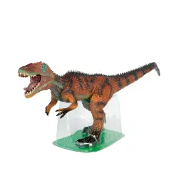 Allosaurus with Verso 64 cm.