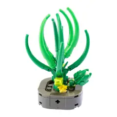 Mattoncini Pianta Esotica Abuca Spiralis 78045