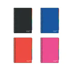 Quaderno Ppl Project Spiralato Ppl con Divisori Rigatura 1r