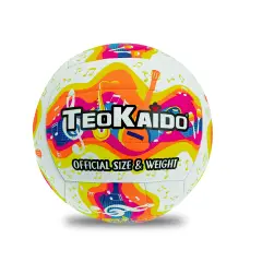 Teokaido Volleyball in PVC Exclusive Design