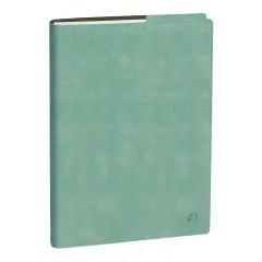 Agenda 2026 Professore - Bisettimanale, Italiano, Rub Roma Acquamarina