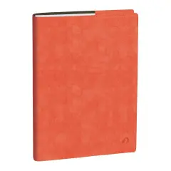 Agenda 2026 Professore - Bisettimanale, Italiano, Rub Roma Rosa Corallo