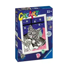 Creart Series E: Cat Tvb