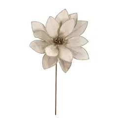 Poinsettia Calipso Fiore Natalizio 50cm Champagne